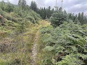 Lochgoilhead  : 587_sm_030.jpg