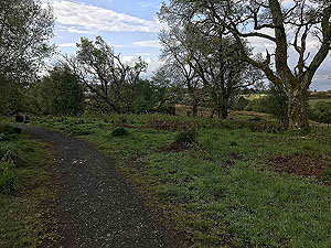 Cardross to Helensburgh  : 588_sm_004.jpg