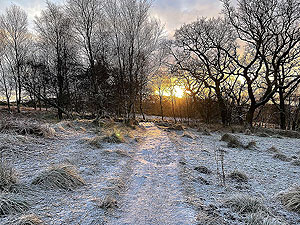 Cardross to Helensburgh  : 588_sm_007.jpg