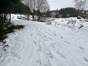 Cardross to Helensburgh  : 588_sm_009.jpg