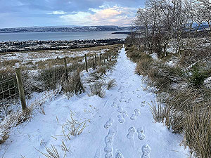 Cardross to Helensburgh  : 588_sm_010.jpg