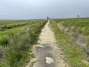 Cardross to Helensburgh  : 588_sm_021.jpg