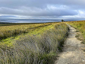 Cardross to Helensburgh  : 588_sm_022.jpg