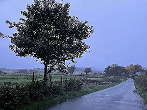 Cardross to Helensburgh  : 588_sm_028.jpg