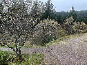 Cardross to Helensburgh  : 588_sm_033.jpg