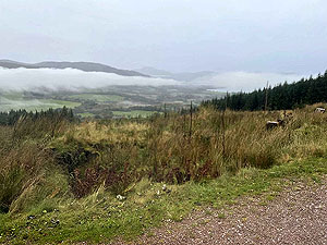 Cardross to Helensburgh  : 588_sm_036.jpg