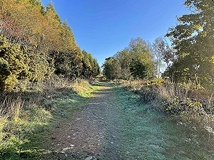 Gallus Running | Roseneath peninsula | Heading up hill away from the car park