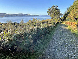 Gallus Running | Roseneath peninsula | Looking back down the hill towards the car park