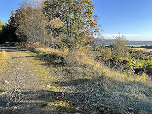 Gallus Running | Roseneath peninsula | Continuing the steady climb