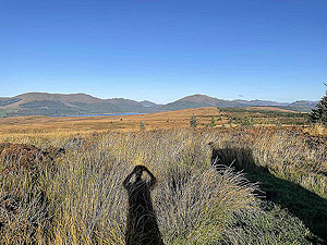 Gallus Running | Roseneath peninsula | Ardentinny in the distance