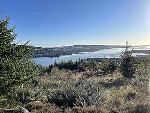 Gallus Running | Roseneath peninsula | 