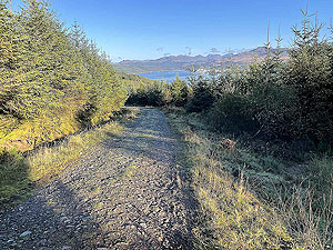 Gallus Running | Roseneath peninsula | Downhill with Faslane in sight