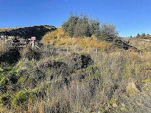 Gallus Running | Roseneath peninsula | Turning point for the path up to the top of Airlig.  Short distance to run