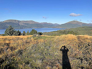 Gallus Running | Roseneath peninsula | Opps there's a shadow on this