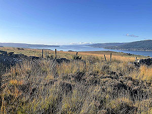 Gallus Running | Roseneath peninsula | Arran in the far distance