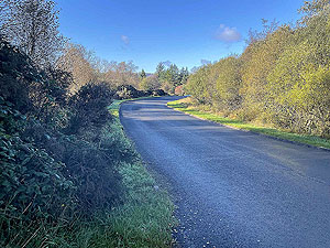 Gallus Running | Roseneath peninsula | Joining the Peaton Road