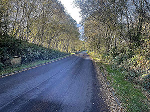 Gallus Running | Roseneath peninsula | And it's all downhill on the Peaton