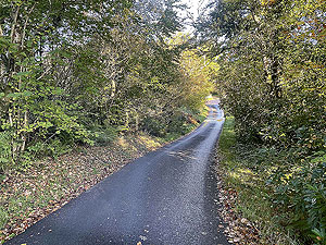 Gallus Running | Roseneath peninsula | Early on the Barbour Road there are trees, but that soon opens up