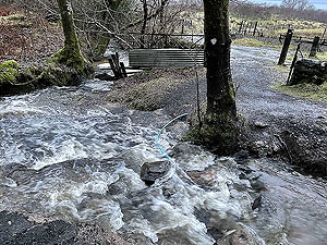 Gallus Running : Craigendoran to Balloch : 590_sm_006.jpg