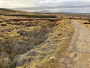 Gallus Running : Craigendoran to Balloch : 590_sm_010.jpg