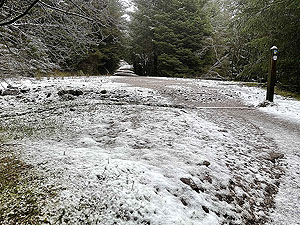 Gallus Running : Craigendoran to Balloch : 590_sm_015.jpg