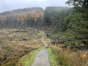 Gallus Running : Craigendoran to Balloch : 590_sm_020.jpg
