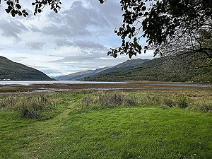 Gallus Running  : 592_sm_001.jpg