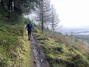 Glentress half marathon : 595_sm_009.jpg