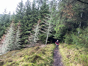Glentress half marathon : 595_sm_011.jpg