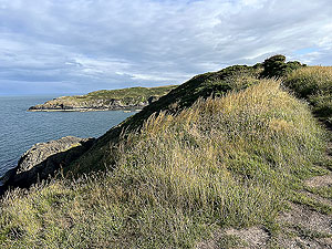Portpatrick : Along the cliff top