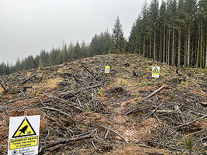 Run loop around Gouk hill : Road becomes  traol