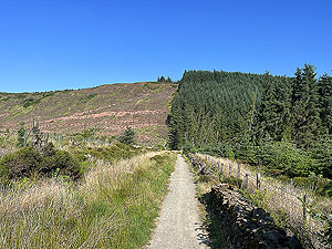 Run loop around Gouk hill : Summer look back on spooky wood exit