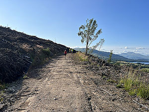 Run loop around Gouk hill : Heading uphill