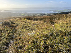 Helensburgh games hill race : View from where you climb over the small fence