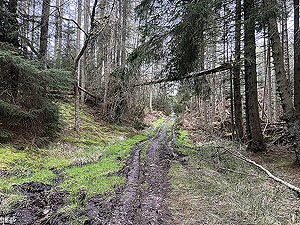 Run from Aberdeen airport : : The main muddy section