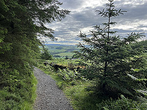 Run from Aberdeen airport : : Looking over Aberdeenshire
