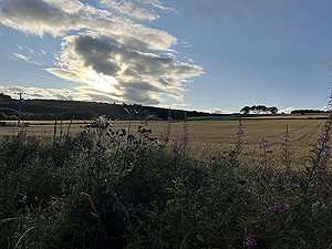 Run from Aberdeen airport : : A nice evening on one of the flat bits
