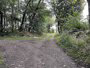 Run from Aberdeen airport : : Keep to the right