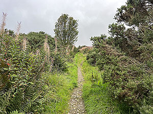 Run from Aberdeen airport : : Trail at start of hill climb