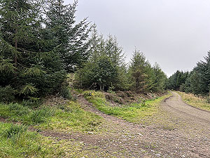 Run from Aberdeen airport : : Start of the last climb to top of hill, on the left