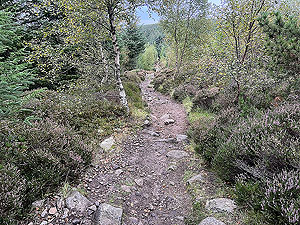 Run from Aberdeen airport : : Path leading to top of hill