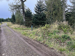 Run from Aberdeen airport : : Turning for path leading to the car park
