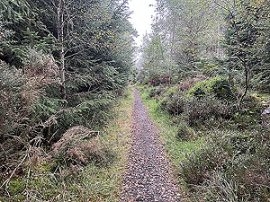Run from Aberdeen airport : : Nice and dry trail path