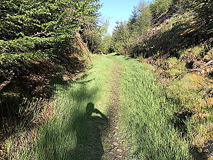 Run from Aberdeen airport : : Trail section in summer and dry