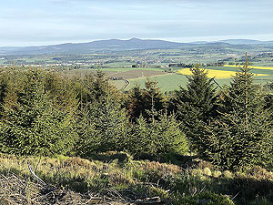 Run from Aberdeen airport : : From the top of the Tapi tower