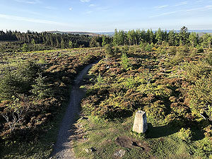 Trail run from Aberdeen airport