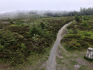 Run from Aberdeen airport : : Misty on top of the tower