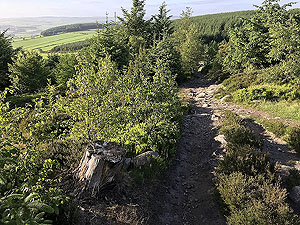 Run from Aberdeen airport : : Looking back on path to the tower