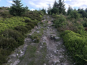 Run from Aberdeen airport : : To the tower