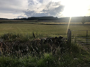 Run from Aberdeen airport : : Evening sun on route